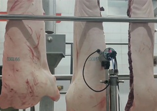 从养殖出栏到仓储出库：EBS猪肉全链路喷码标识解决方案
